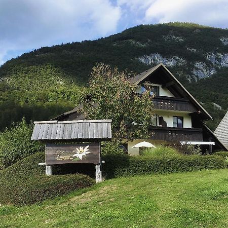 Charming And Cozy Apartment Sara Bohinj Exteriér fotografie
